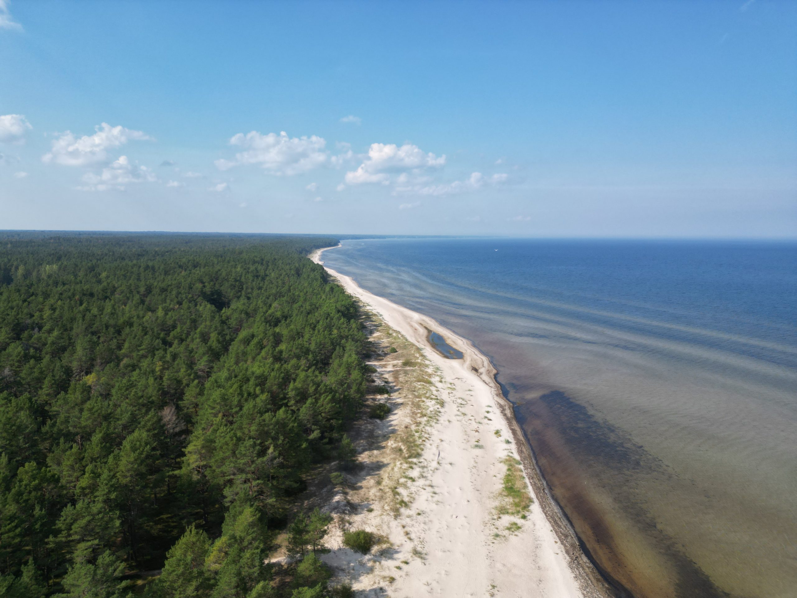 Site of the SONET coastal dune protection project in Latvia (c) BaltCF
