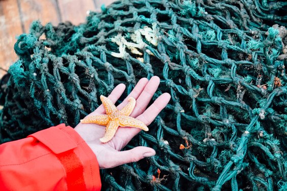 A hand holds a starfish in the picture. There is a fishing net in the background.